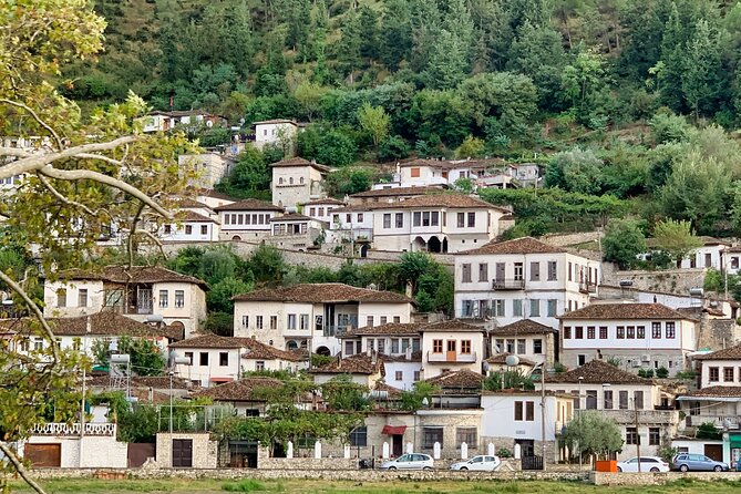 From Tirana; Semi - Private Day Trip to Berat & Belsh Lake - What the $168.65 price really covers