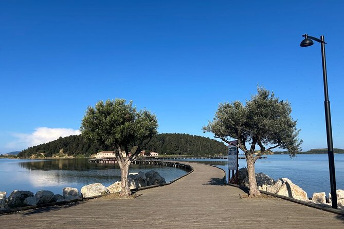 From Vlora : Zvernec, Apollonia and Berat Day Trip Experience - Key points to know before booking
