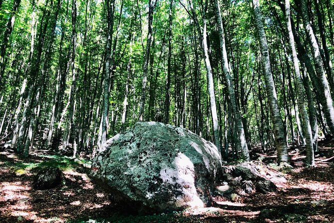 Full Day Tirana City & Dajti National Park, Private Tour - Spending 90 minutes inside Bunk’Art 1