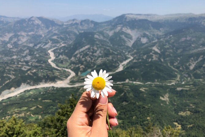 Full Day Tirana City & Dajti National Park, Private Tour - Riding the Dajti cable car from the lower station