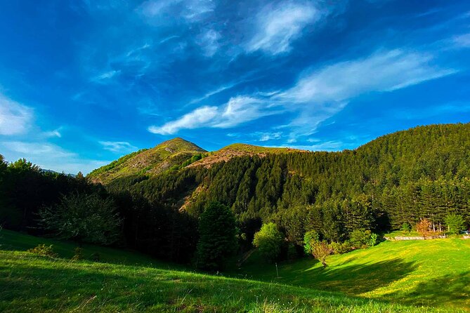 Full Day Tirana City & Dajti National Park, Private Tour - Three hours in Dajti National Park