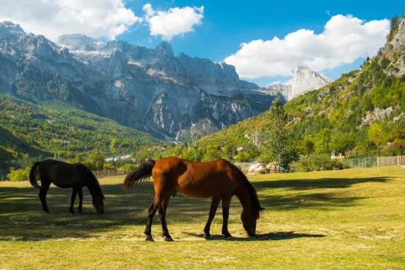 Full day tour to Theth from Tirana,Durres and Shkoder - The guides and the small-group format