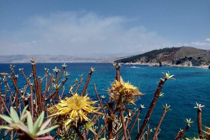 Half-day Tour in South Albania (Blue Eye, Lekursi Castle, Ksamil) - Pickup, timing, and practical planning