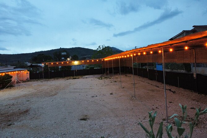 Happy Camping Berat - Price and value for groups of up to four