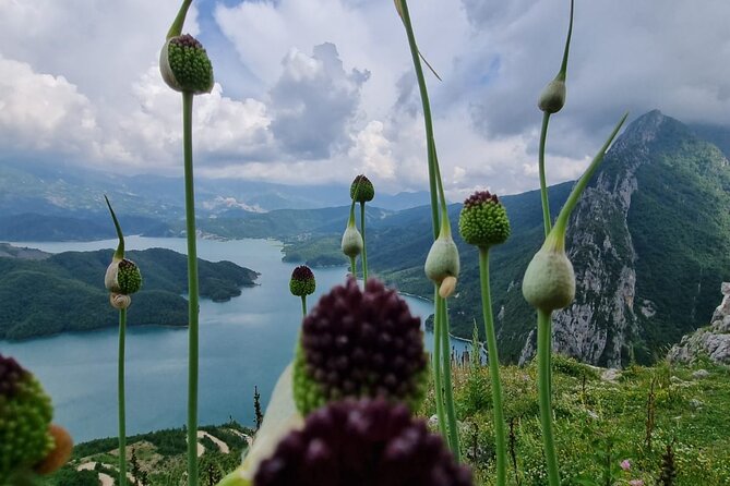 Hiking to Gamti, Bovilla Lake and Kruja Day Trip from Tirana - Transport and group size matter