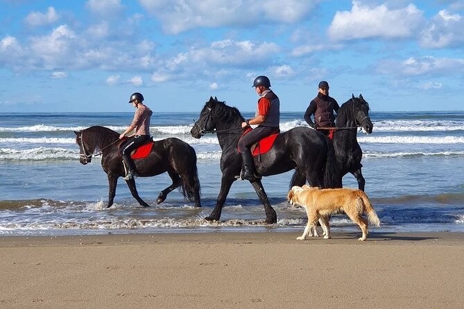 Horseback Riding Adventure in Durrës for Experienced Riders - A horseback ride built for capable riders