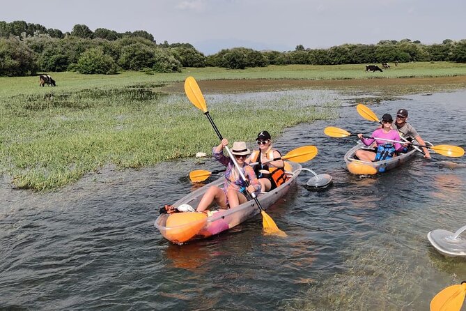 Kayak or Stand Up Paddle in Shkodra Lake and Buna River - Key points to know before booking