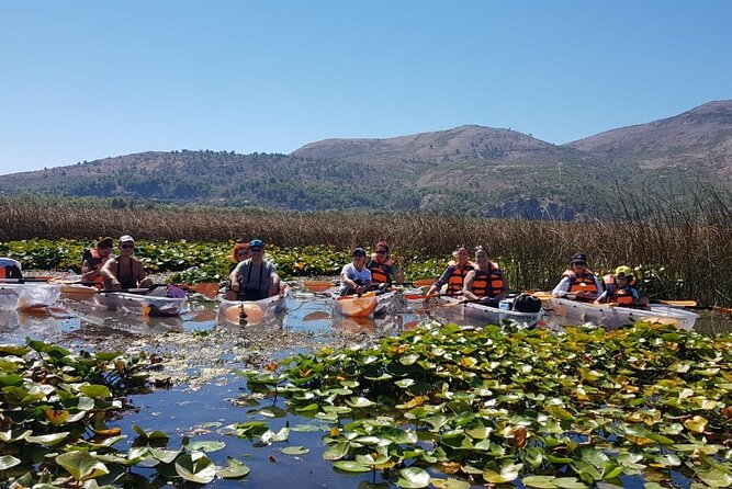Kayak or Stand Up Paddle in Shkodra Lake and Buna River - A riverside snack with pastry and seasonal fruit