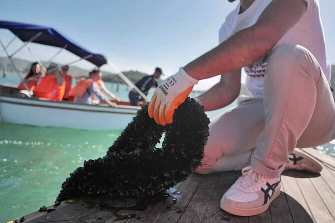 Ksamil: Mussel Sailing Tour with Food and Drink in Albania - Lunch at the Local Restaurant