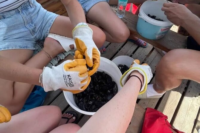 Ksamil: Mussel Sailing Tour with Food and Drink in Albania - The Return Ride at Sunset