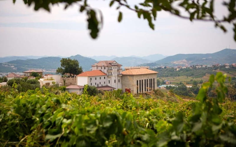 Lundër: Lundra Winery Guided Tour with Wine Tasting - Why Lundra Works as a Short Trip from Tirana