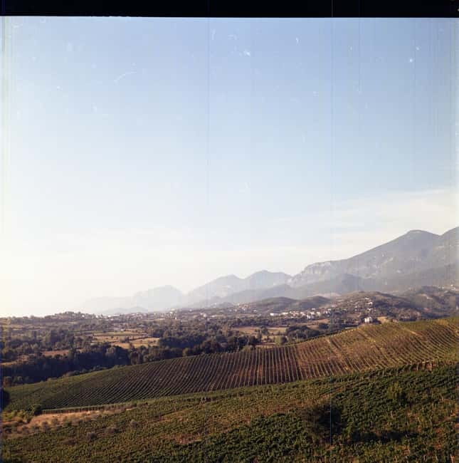 Lundër: Lundra Winery Guided Tour with Wine Tasting - Starting With Lundra Winery’s Family Story