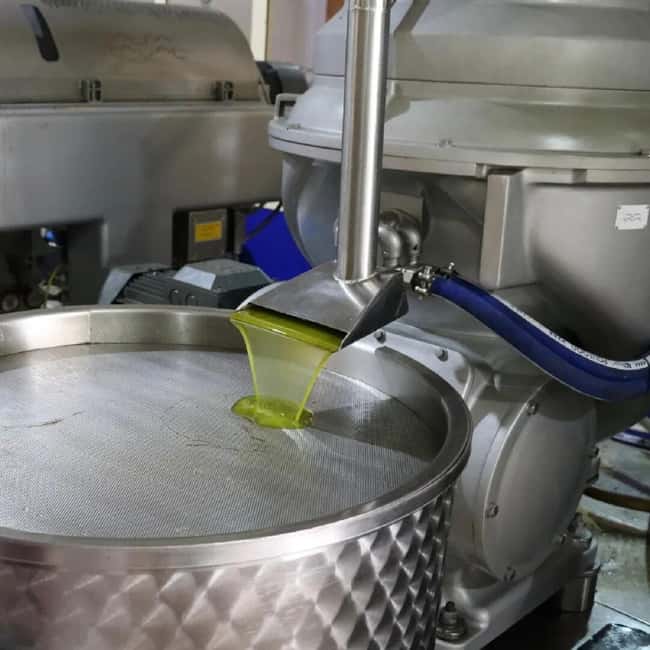 Musai Olive Oil Tour and Tasting - Going down to the storage tanks