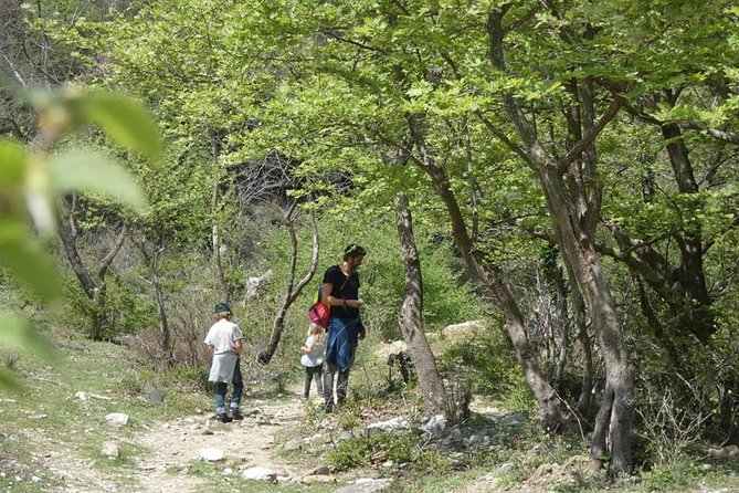 Osumi Canyons and Bogova Waterfall from Berat - Tour by 1001 Albanian Adventures - Weather, Timing, and Cancellation