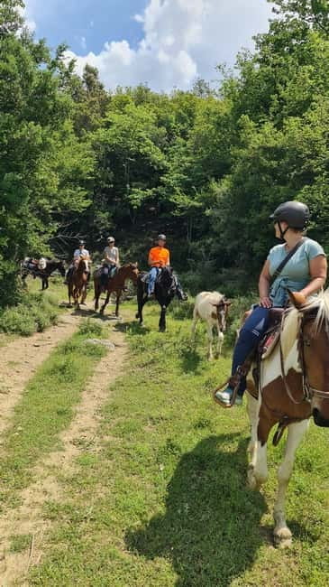 Përmet: Amazing Horse Riding Experience at Vjosa NP - What $101 buys you