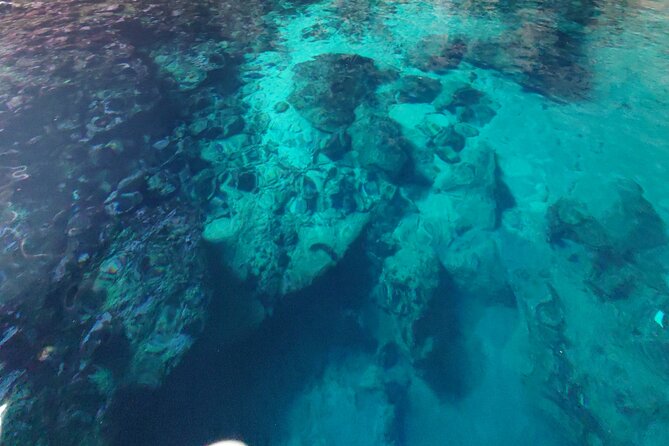 Private Half Day Boat Sazani Island & Haxhi Aliu Cave - Crossing the Mezokanal between two seas