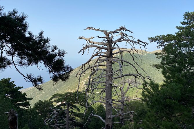 Private Hiking Tour in Çika Mountain - The long climb to Maja e Çikës