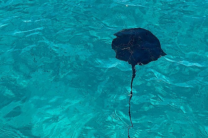 Saranda: Riviera Secrets, Cruise to Krorez and Turquoise Bays - Kakoma Beach, where nature meets military remains