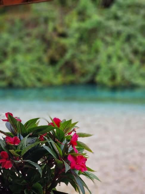 Sarande: Blue Eye Kayak and walking tour & Lekursi Castle - Transport, timing, and what the $45 covers
