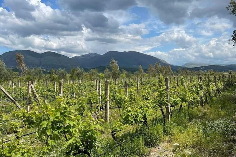Sarande: Blue Eye & Lekuresi Tour w/ Wine Tasting - Key points to know before booking