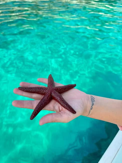 Sarandë Sea Safari: Speedboat to Hidden Coves & Wild Beaches - Krorez Beach is the main event