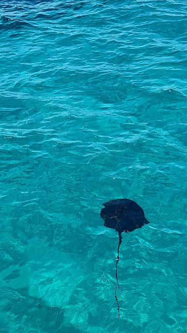 Sarandë Sea Safari: Speedboat to Hidden Coves & Wild Beaches - Leaving Sarandë Harbor on a modern speedboat