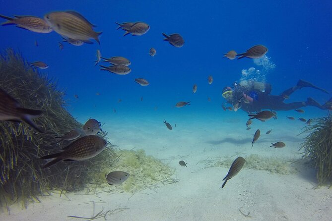Scuba Diving in MIG-21 wreck - At Albania Adventure, preparation comes first