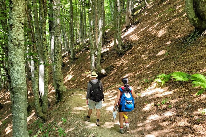 Self-Guided Hiking Tour: Theth, Valbona & Koman Lake in 3 Days - The Blue Eye of Theth: a demanding first-day option