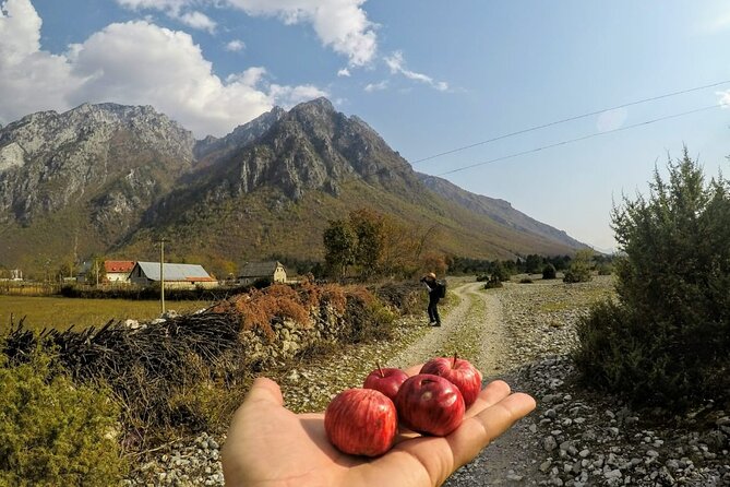 Self-Guided Hiking Tour: Theth, Valbona & Koman Lake in 5 days - Day four: Kukaj and Piramida 18