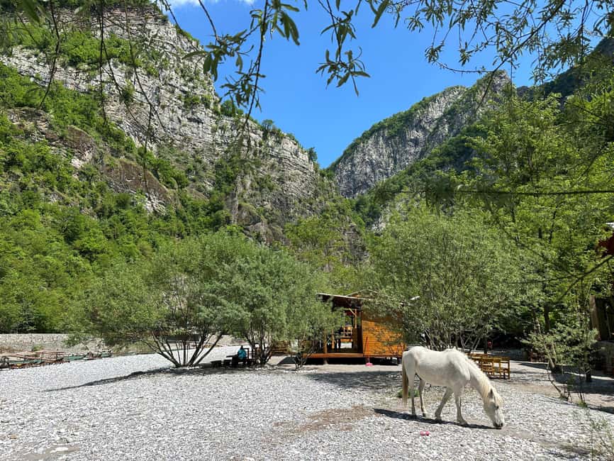 Shala River One day Guided Tour - Who should book this experience?