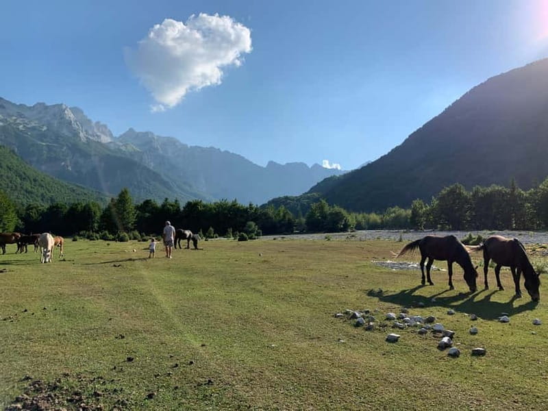 Shkoder: Transfers to Valbona/Theth/Shala River. Both ways. - Drivers, communication, and small touches