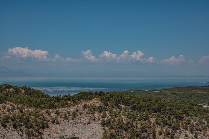 Shkodra from Tirana: Day Tour of castle, city & Skadar Lake - Shkodra’s religious landmarks tell a larger story