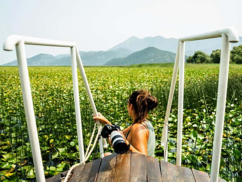 Skadar Lake & Crnojevića River: Swimming, Snacks & Wine - Why Lake Skadar Makes a Good Three-Hour Cruise