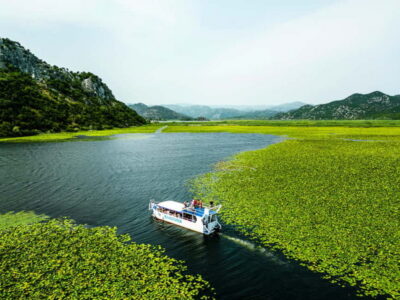 Skadar Lake & Crnojevića River: Swimming, Snacks & Wine