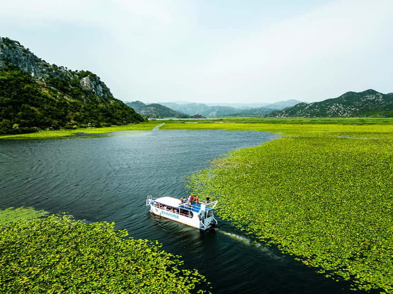 Skadar Lake & Crnojevića River: Swimming, Snacks & Wine - Starting in Virpazar Near the Central Bridge