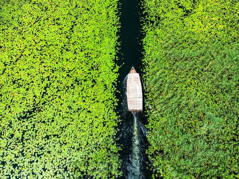 Skadar Lake National Park: Private Wooden Boat Tour & Wine - Reeds, Lotus Flowers, and Young Birds