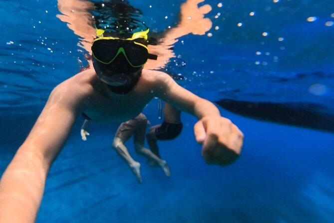 Snorkeling 360 Experience in Sazan Island & Karaburun - What the $48.39 price really covers