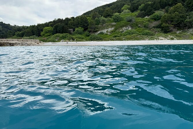 Speedboat Tour to Sazan Island, Haxhi Ali Cave and Marine Park - Guide quality and the mood onboard