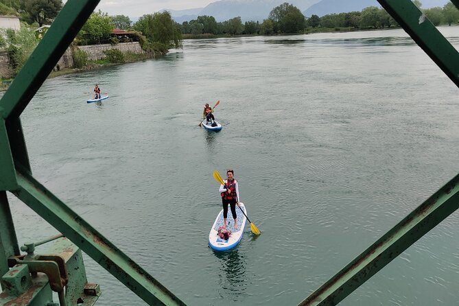 Stand Up Paddle Board or Kayak Rental in Shkodër - Paddling into Lake Skadar’s quiet nature