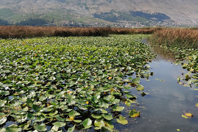 Stand Up Paddle Board or Kayak Rental in Shkodër - Wind and weather are part of the experience