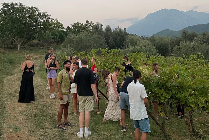 Taste Albania: Wine & Raki Tasting in Berat - Who should book this evening?