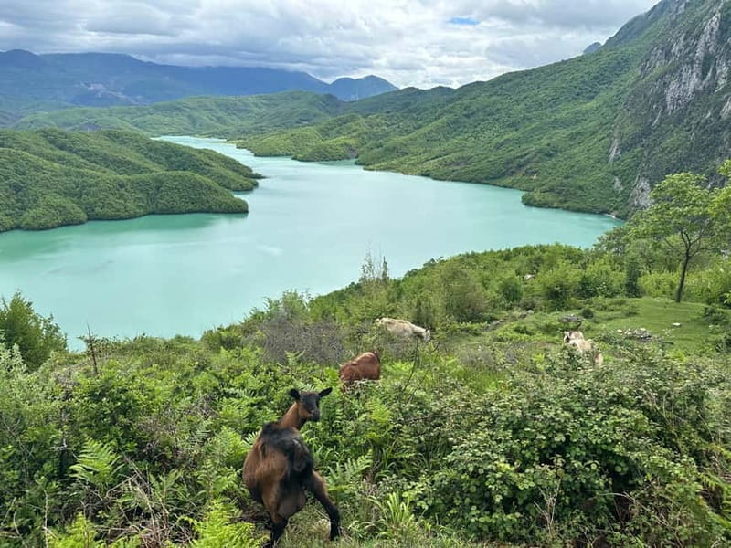Tirana: Bovilla Lake & Gamti Mountain with SUV, No-Hiking - What the guides add to the day
