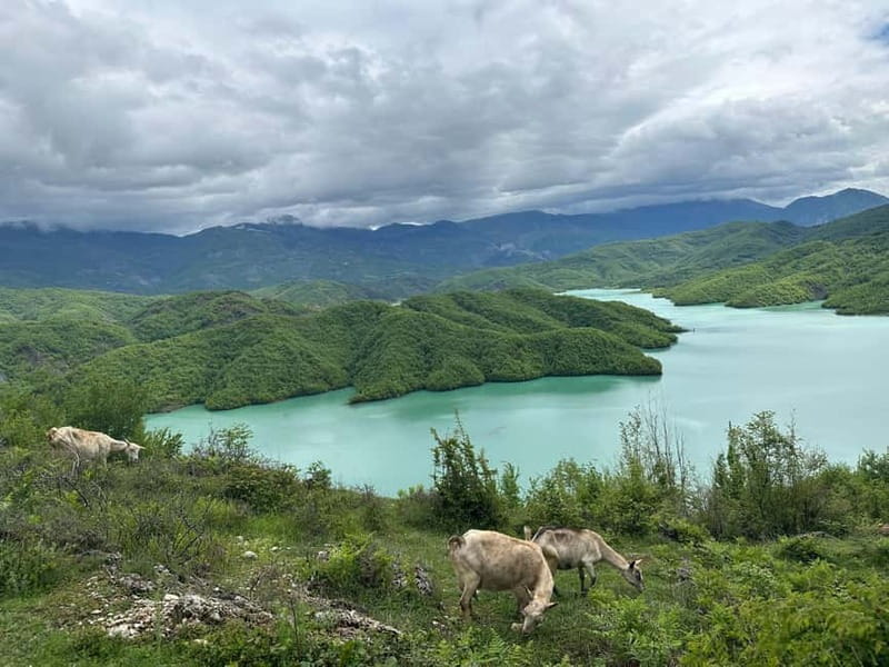 Tirana: Bovilla Lake & Gamti Mountain with SUV, No-Hiking - Is $106 a fair price?
