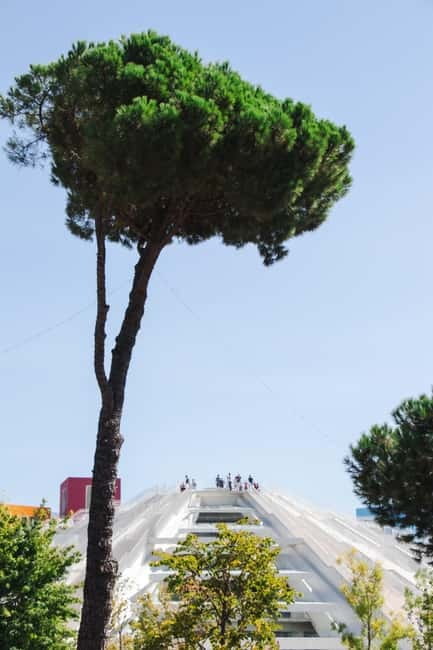 Tirana City & Food Tour - Meals Included (small group) - Tirana Castle and the olive oil stop