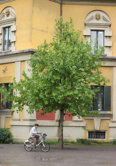 Tirana:Communist History & Modern City Tour with Local Guide - What the German-language option is like