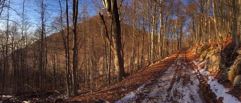 Tirana: Dajti Mountain Half-Day Trip with Cable Car Ticket - The 15-minute ride above Tirana