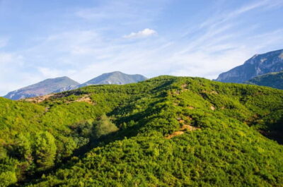 Dajti Mountain Half-Day Trip with Cable Car Ticket