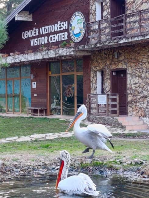 Tirana / Durrës: Berat UNESCO City & Karavasta National Park - What the $58 price really includes