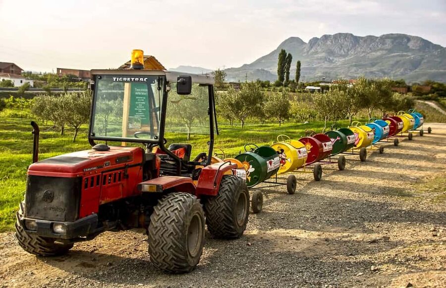 Tirana: Kruja Day Trip with Farm-to-Table Lunch - Mrizi i Zanave makes lunch the day’s highlight