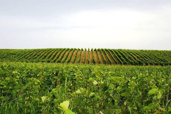 Tour of Kruja and Wine Tasting in one Day from Tirana - What the private format changes